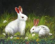 unknow artist Rabbit